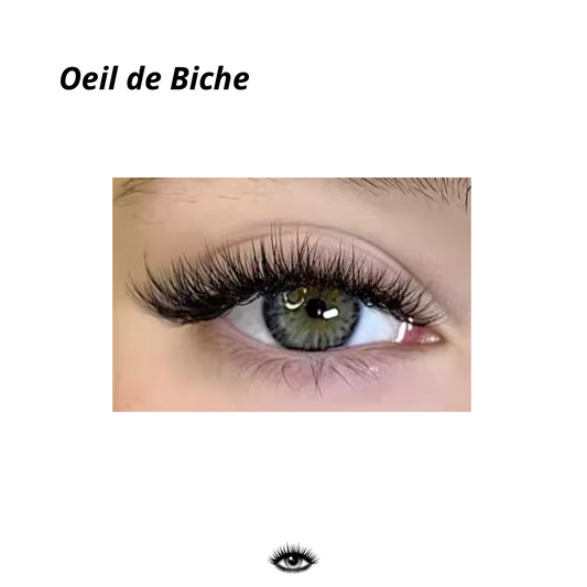 Oeil de biche